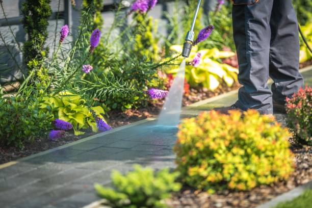 Best Parking Lot Cleaning in Emsworth, PA