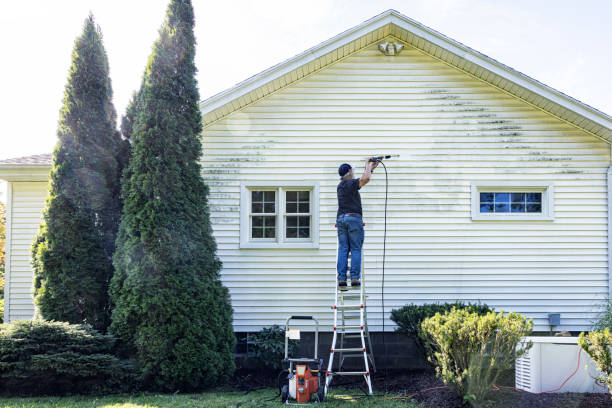 Best Vinyl Siding Pressure Washing in Emsworth, PA